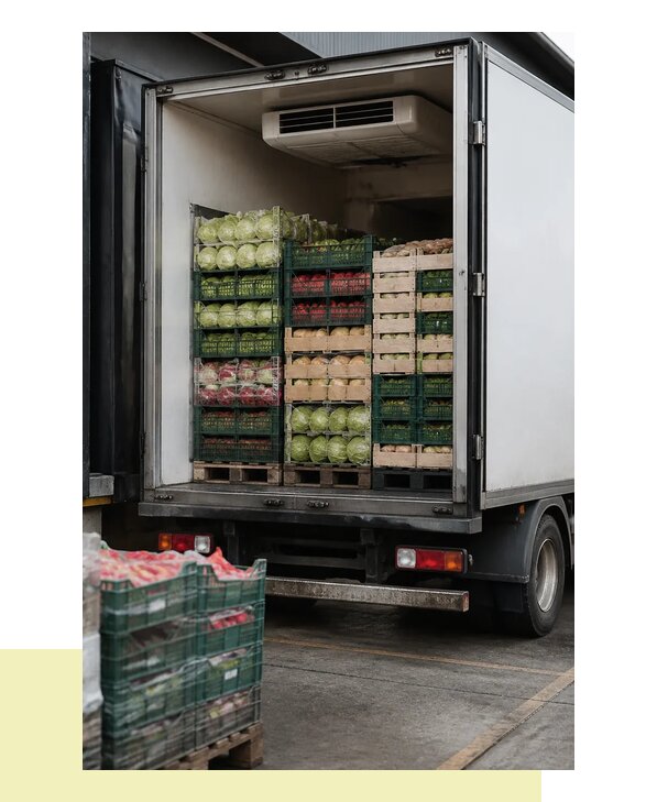 Перевозка плодоовощной продукции оптом напрямую в Димитровград