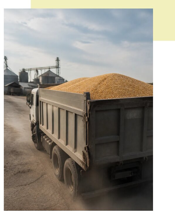 Перевозка сельхозпродукции навалом в Димитровград по цене от 3091 р. | Агросервис-Дмт